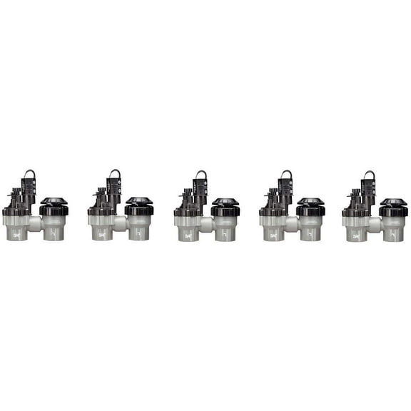 RAIN Bird DASASVF075 Professional Grade Anti-Siphon Valve with Flow Control, 3/4" Threaded Female x Female 5-Pack