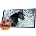 thumbnail image 2 of Cuadros Decorativos 5D Wdftyju bricolaje taladro redondo completo diamante pintura caballo de costura negro 4 estilos, 2 of 9