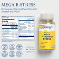Solaray Mega Vitamin BStress, TwoStage TimedRelease Specially