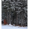 thumbnail image 3 of Outhouse Duvet Cover Set, Winter Forest in Snow with Little Barn Lumberjack Shed Art Photo, Decorative 3 Piece Bedding Set with 2 Pillow Shams, Queen Size, Dark Green and White, by Ambesonne, 3 of 3