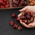 thumbnail image 2 of 20pcs Walnut Kernel Fake Decoration Artificial Food Display Realistic Lifelike Imitation Ornament Fruit Bowl Office Desk, 2 of 3