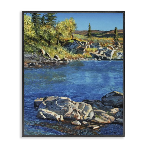 Stupell Industries Transitional Black Framed Giclee Art, 11 x 14, by Andrew Kiss