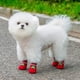 thumbnail image 5 of Ropa Para Mascotas Calcetines Para Perros Y Gatos Rascables Lavables Transpirables Calzado Para Mascotas Para Interior Y Exterior Cómodos, 5 of 5
