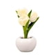 thumbnail image 1 of Luz nocturna de tulipán, luz suave, cerámica exquisita, lámpara de mesa de flores de PU para librerías, cafeterías, Base de cerámica alimentada por batería, color blanco, 1 of 12