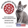 thumbnail image 4 of Jeffers Belly Buddy Cat Probiotic Powder Packets, 30 Count - Veterinary Formulated, Four Probiotic Strains & Vitamins for Gut Health, Diarrhea & Digestive Balance, Chicken Liver Flavor, USA Made, 4 of 8