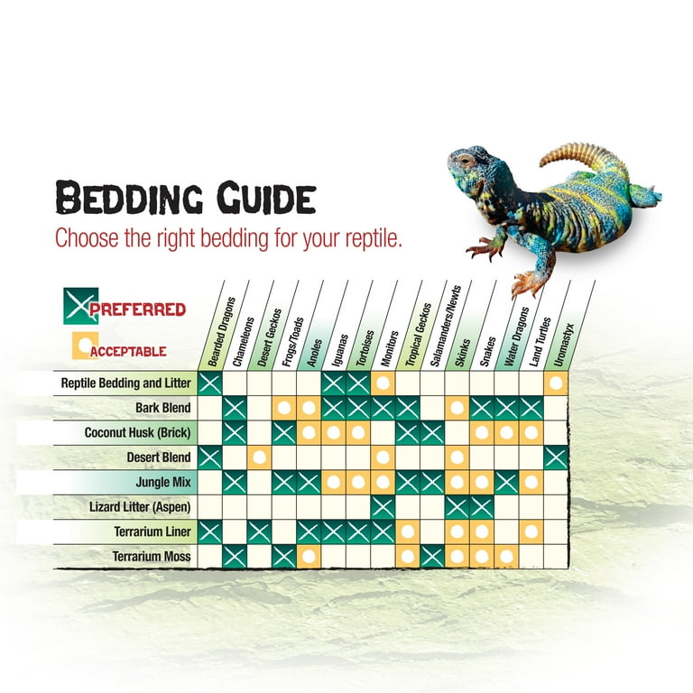 Walnut top shell bedding