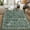 Green, variant on Haperlare Oriental Area Rugs for Living Room 10'x13' Washable Rugs for Bedroom Large Non Shedding Floral Green Home Office Carpet