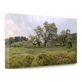 thumbnail image 2 of Tangletown Fine Art 'Oak Tree Pano - 133' Photographic Print on Wrapped Canvas, 2 of 2