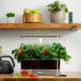 thumbnail image 3 of AeroGarden Harvest Elite Slim, Platinum with Gourmet Herbs Seed Kit, 3 of 10