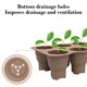 thumbnail image 4 of Maceta Plegable de Silicona para Semilleros con Bandeja de Drenaje – Semillero Transpirable de 6 Celdas para Jardinería de Interior y Siembra En Balcón., 4 of 6