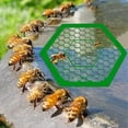 thumbnail image 2 of Outdoor Tray Acrylic Floating Island Butterfly And Water Feeder Bath Outdoor Garden Decoration, 2 of 4