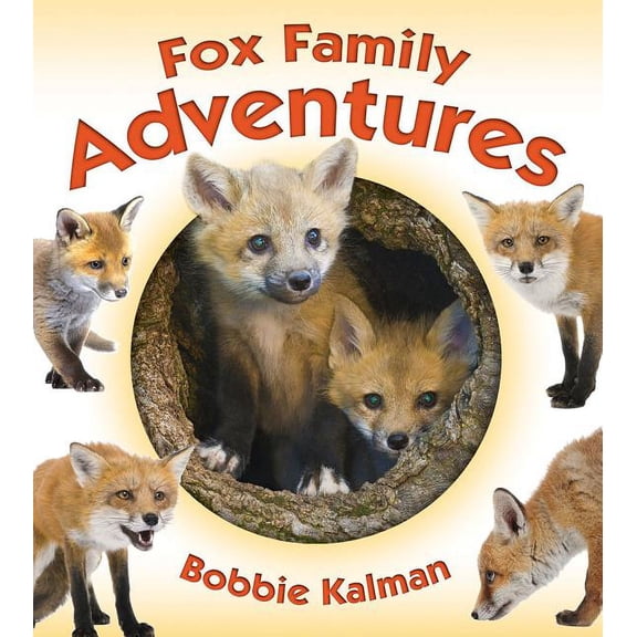 Animal Family Adventures: Fox Family Adventures (Paperback)