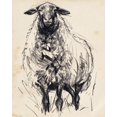 thumbnail image 2 of Parker, Jennifer Paxton 12x14 White Modern Wood Framed Museum Art Print Titled - Charcoal Sheep I, 2 of 4