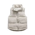 thumbnail image 2 of Toddler Puffer Vest Corduroy Vest Fleece Lined Button Up Stand Collar Warm Vest, 2 of 3