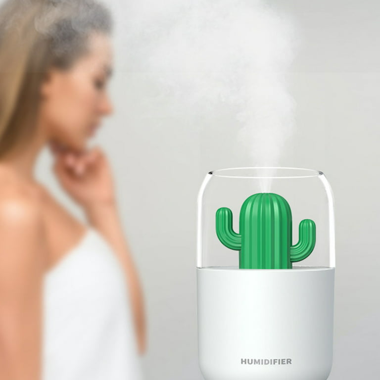 Humidificateur radiateur design Cactus