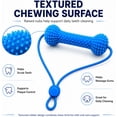 thumbnail image 5 of Dual-Action Canine Dental Prop, Dog Dental Chew Toy and Teeth Brushing Aid, Reusable Dog Teeth Cleaning Tool for Easier Pet Oral Care, Small Medium Large Dogs (2Pcs), 5 of 8
