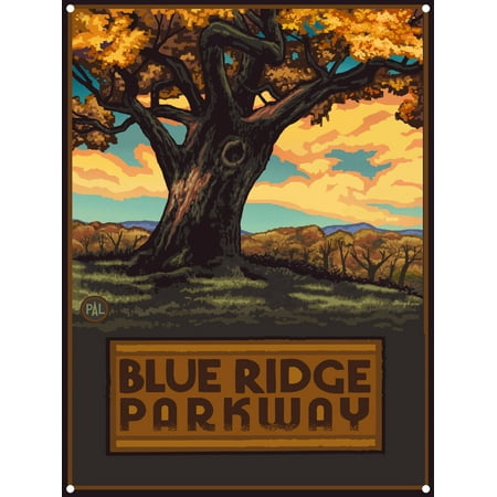 - Blue Ridge Parkway Big Oak Tree Metal Art Print by Paul A. Lanquist (9