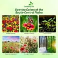 thumbnail image 2 of Outsidepride Texas/Oklahoma Wildflower Seed Mix - 1 LB, 2 of 8