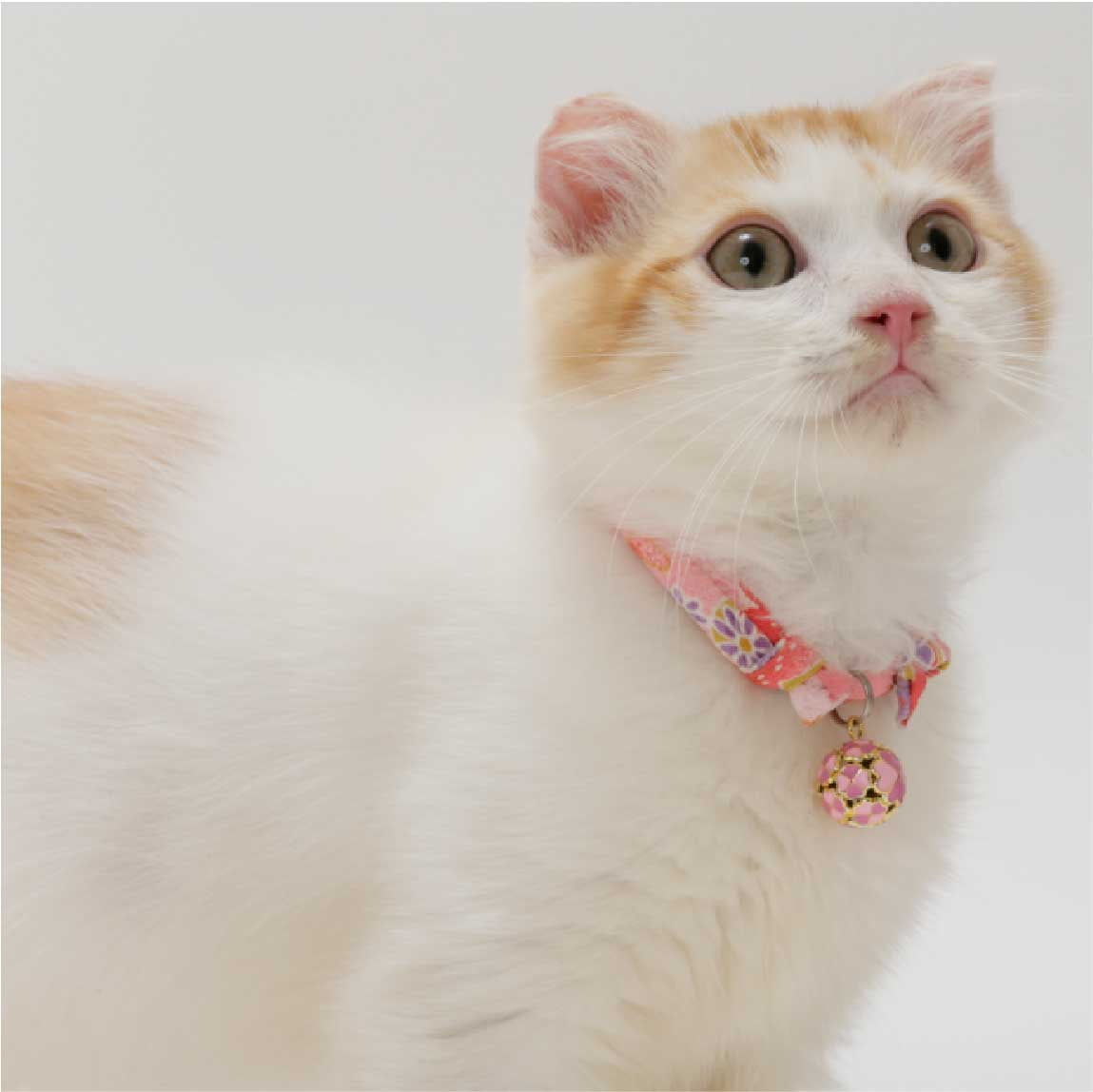 Cotton Candy Pink 1/2 Cat Collars