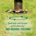thumbnail image 5 of Perky-Pet Blue Panorama Wild Bird Seed Feeder - 2 lb Capacity, 5 of 12