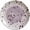 Purple, variant on Ceramic Garlic Grater Plate, Handcrafted Garlic & Ginger Grinder Dish, Kitchen Tool Decorative Mincer for Ginger, Garlics, Onion, Cheese
