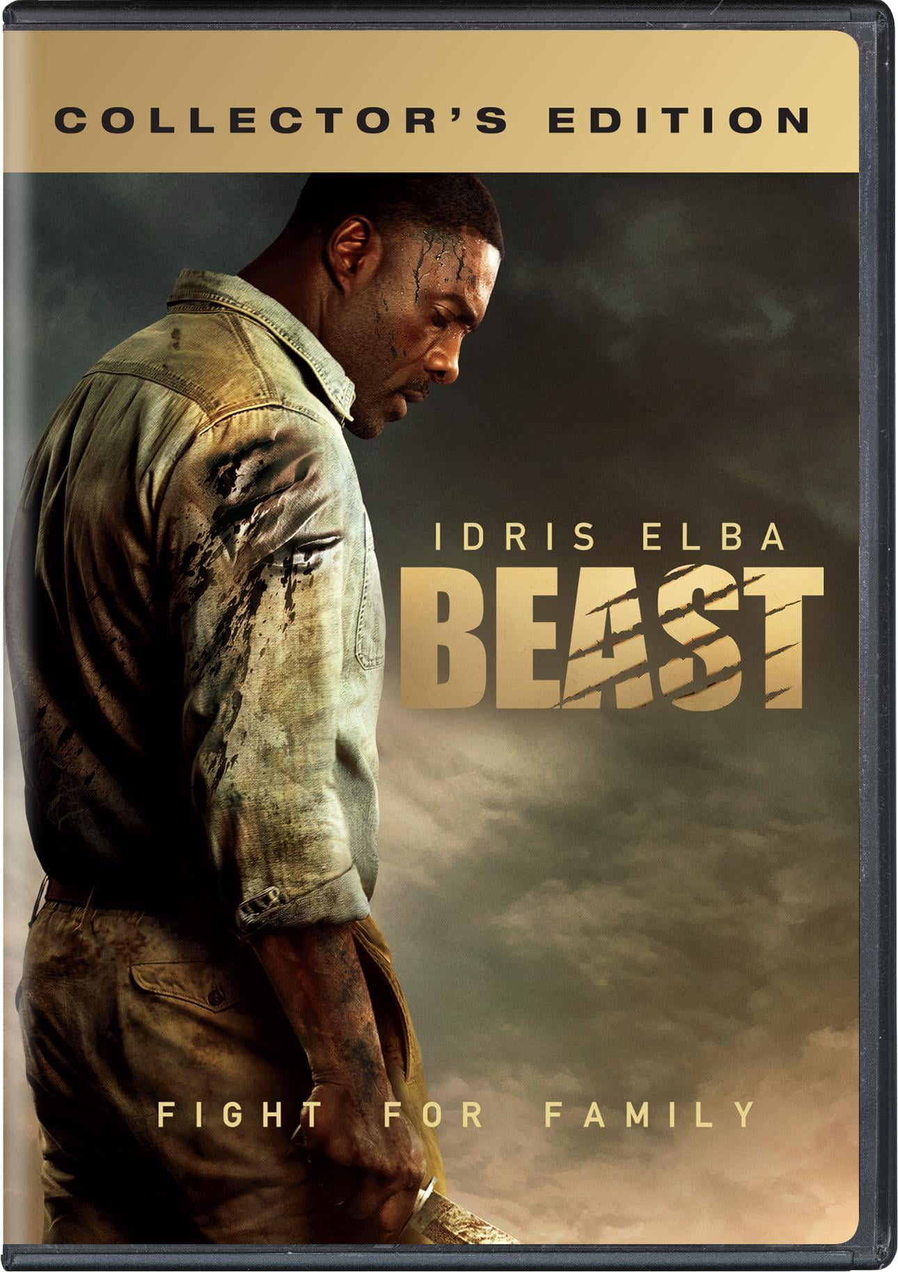 ミュージック BEAST DVD Amazon.com: Beauty and The Beast(2
