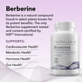 thumbnail image 3 of Theralogix Berberine Enhanced Absorption - 30-Day Supply - Made with Berberine Phytosome to Help Support Healthy Metabolism & Hormone Balance* - NSF Certified - 30 Capsules, 3 of 6