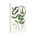 thumbnail image 2 of Vision Studio 'Fern Foliage II' Canvas Art, 2 of 3