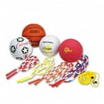 thumbnail image 1 of DDI 508568 Physical Education Kit w/Seven Balls 14 Jump Rope, 1 of 1