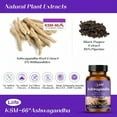 thumbnail image 4 of Liife KSM-66 Ashwagandha 600mg | with L-Theanine &Black Pepper| 60 Veggie Capsules | Calm,Support Restful Sleep, Relaxation, Energy, & Brain Health, 4 of 9