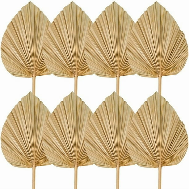 8 Uds. Decoraciones de Hojas de Palma Secas Recortadas, Abanicos de Palma de Lanza , Flores de Boda Tropicales Secas, DecoracióN de Boda