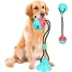 thumbnail image 1 of 1 pelota masticable para perros con ventosa roja y azul con cordón elástico para juegos multifuncionales para perros, adecuada para suelos de madera y paredes de azulejos JM, 1 of 5