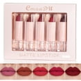 Liquid Lipstick, 15 Color Lip Gloss 5 Box Set Matte Waterproof Lon g
