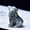 labradorite, variant on 1 piece CUPIDCRYSTAL hand-carved crystal wolf ornament - 3.5cm / 1.38inch Exquisite details, cute animal decoration, pocket-sized raw stone sculpture for home, jewelry