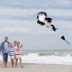 thumbnail image 5 of Vuelo de ballena gigante de parafoil suave sin marco enorme 3D Labymos  Cometa, 5 of 7