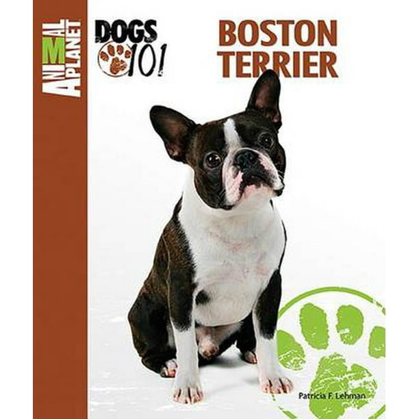 Animal Planet Dogs 101 Boston Terrier Animal Planet Dogs 101 Boston Terrier