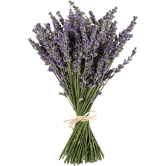 ZULAR Natural Lavender Bundles,Freshly Harvested 200 Stems Dried Lavender Bunch 16"-18"Long,Decorative Flowers Bouquet for Home Decor,Crafts,Gift,Wedding Or Any Occasion