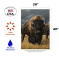 thumbnail image 2 of Toland Home Garden Where the Buffalo Roam Buffalo Flag Double Sided 28x40 Inch, 2 of 5