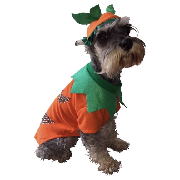 Disfraz Calabaza Pet Pals Halloween Talla 6 Mascota
