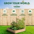 thumbnail image 2 of Greenes Fence 48" x 48" x 11" Beige Cedar Raised Garden Kit with Trellis, 2 of 8