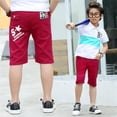 thumbnail image 4 of Pantalones de para niños de ocio con estampado de verano para pantalones de Youngsteds para niños de 20-40 Vino rojo 120 Sunnimix Pantalones de los muchachos, 4 of 8