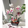 thumbnail image 4 of Orchid Flower Building Set - Creative Plant Botanical Set Collection, Decorative, Compatible with Lego icon Orchid Flower, Ideal Gift for Mother, Lovers, Friends or Yourself (581 Piece), 4 of 4