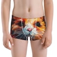 thumbnail image 5 of Yiaed Oil Painting Colorful Hamster Print Boys' Boxer Briefs Cotton Casual Stretch Comfort Boys Boxers - Kids Boxer Briefs Underwear for Boys (6-18)-Medium, 5 of 5