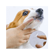 thumbnail image 2 of Cepillo de dientes de silicón para mascotas, 2 of 4