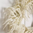 thumbnail image 4 of Nearly Natural Norfolk Island Pine Artificial Christmas Wreath - 24" - Unlit, 4 of 7