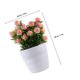 thumbnail image 5 of IDEANATEGRATE Planta Falsa En Maceta Con Duraznos Decorativa Para Interiores Y Repisas, 5 of 6