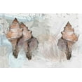 thumbnail image 2 of Butcher, Sarah 18x13 Gold Ornate Wood Framed with Double Matting Museum Art Print Titled - Maps And Shells, 2 of 4