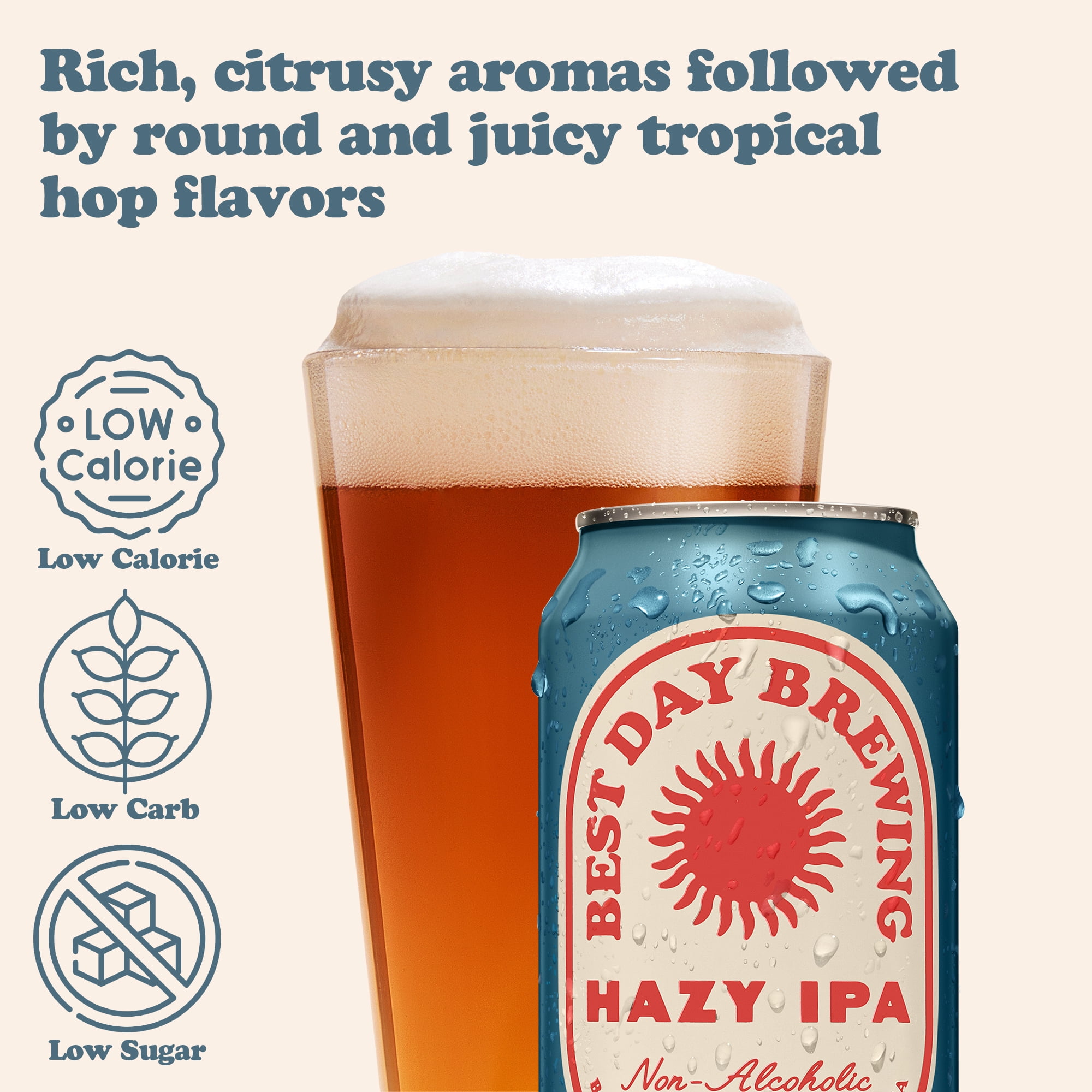 Best Day Brewing Non-Alcoholic Beer, Hazy IPA, 12 fl oz Cans, Pack of 12, below 0.5% ABV