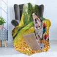 thumbnail image 4 of English Bulldog Soft Flannel Fleece Blanket, Dog in the Park with a Laptop and Rainbow Colored Scarf Funny Photography, Cozy Plush for Indoor and Outdoor Use, 50" x 60", Multicolor, by Ambesonne, 4 of 5