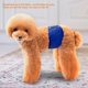 thumbnail image 4 of Pantalones de Seguridad Pantalones de Acoso Anti Acoso Puppy Ropa para Mascota, 4 of 7